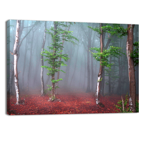 Foggy Mystic