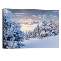 Sunny Winter