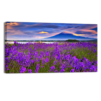 Fiji mountain and Lavander