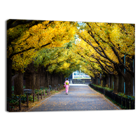 Meiji Jingu Gaien