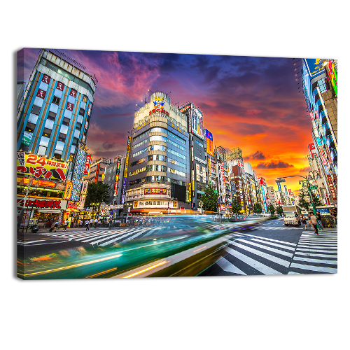 Tokyo Metropolis