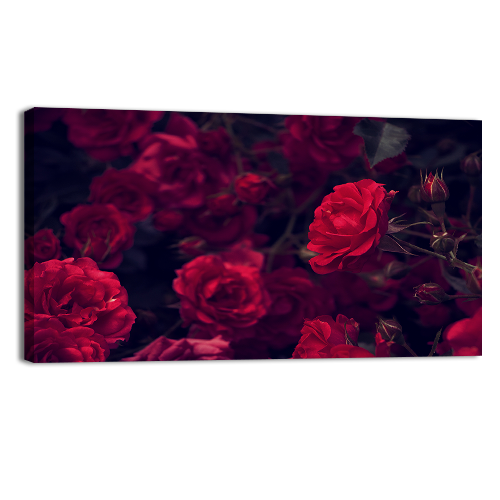 Rose garden