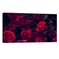 Rose garden
