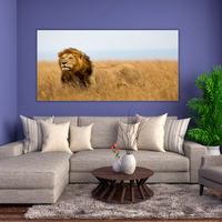 Mighty Lion Watching