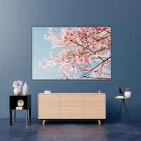Pink Cherry Blossom