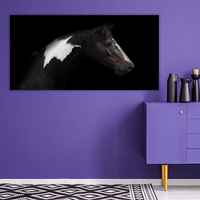 Skewbald Horse