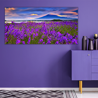 Fiji mountain and Lavander