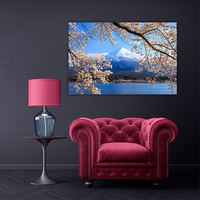 Fuji and Cherry Blossom