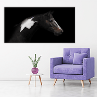 Skewbald Horse