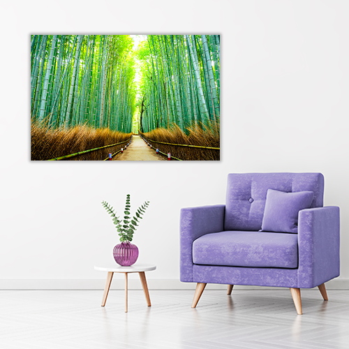Bamboo forest in Japan