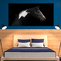 Skewbald Horse