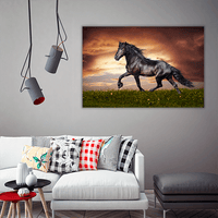 Stallion Running Trot on the Field