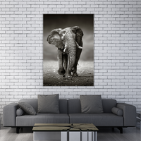 Elephant Approach