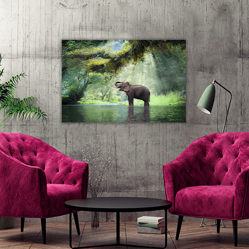 Wild Elephant