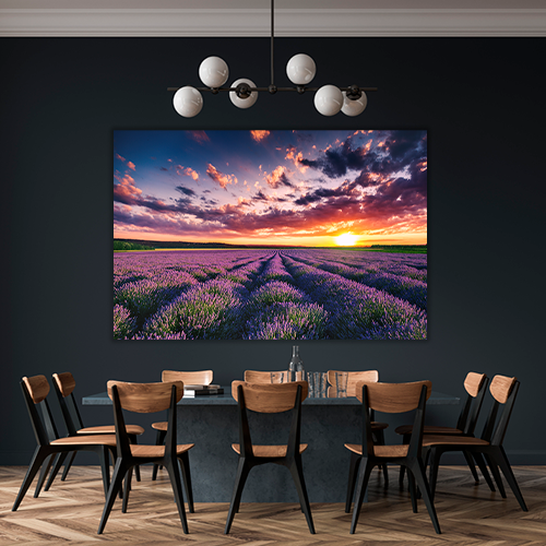 Blooming Lavander