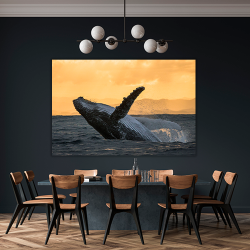 Humpback jump