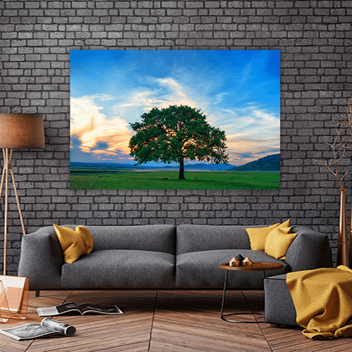Beautiful and Old Oak
