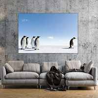 Emperor Penguins