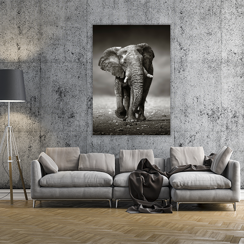 Elephant Approach