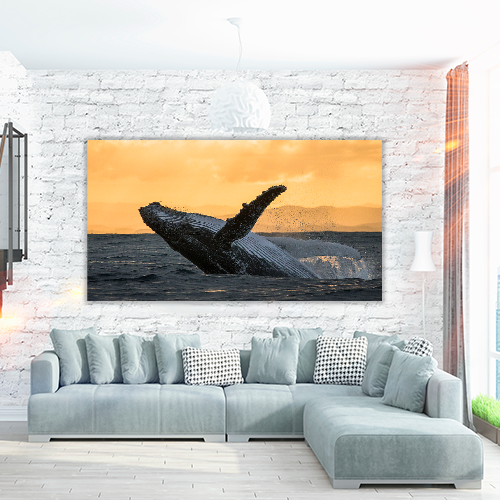Humpback jump