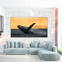 Humpback jump