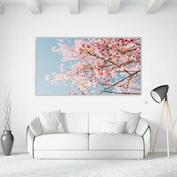 Pink Cherry Blossom
