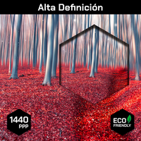 Bosque Encantado