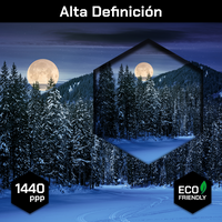 Bosque Noche Nieve Luna