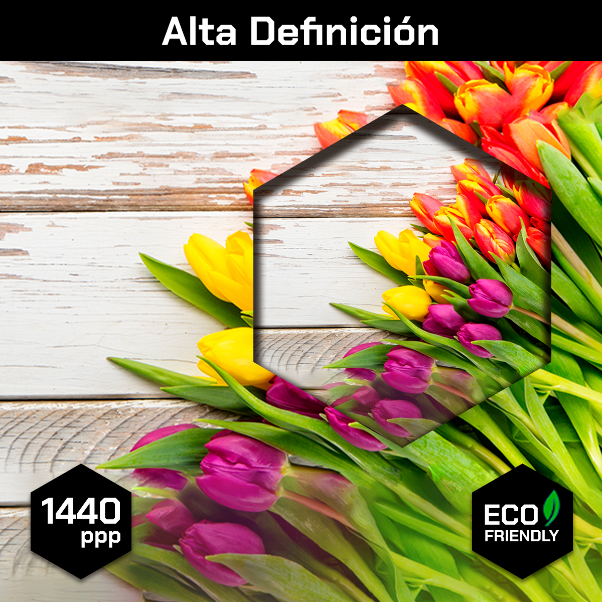Racimo De Tulipan
