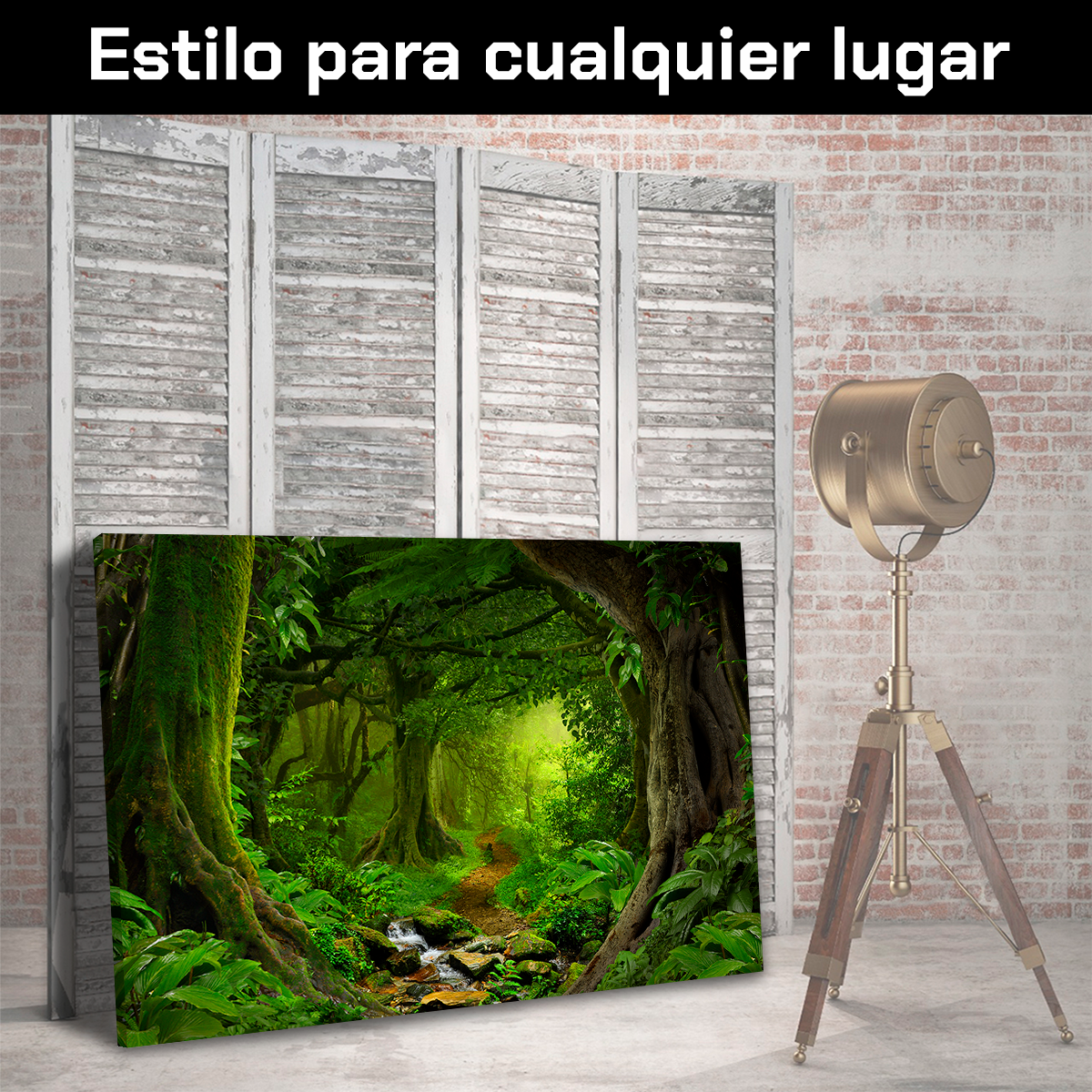 Bosque y Selva Tropical