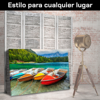 Botes Coloridos