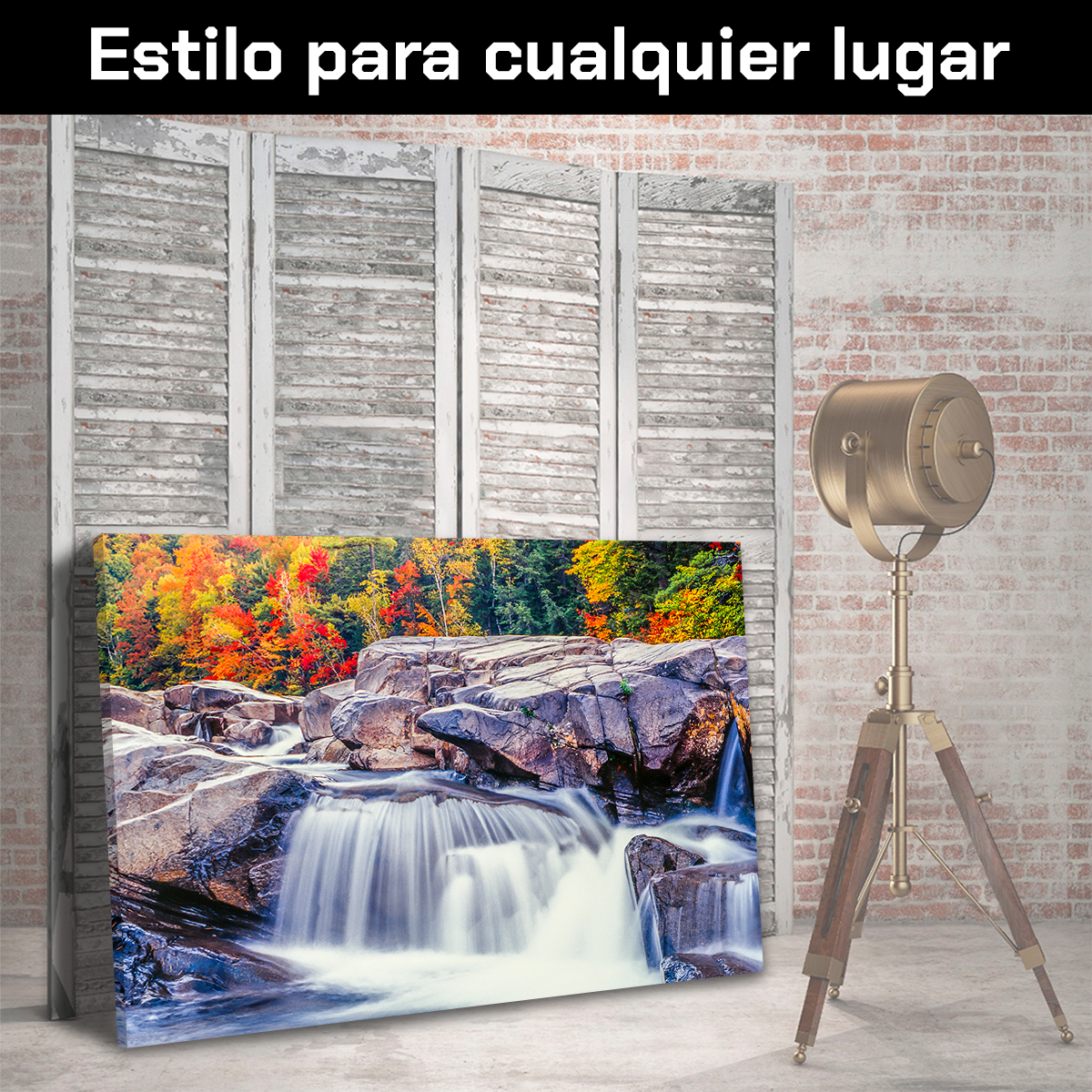 Otoño Rio Swift