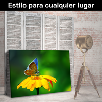 Flores Y Mariposa Azulada