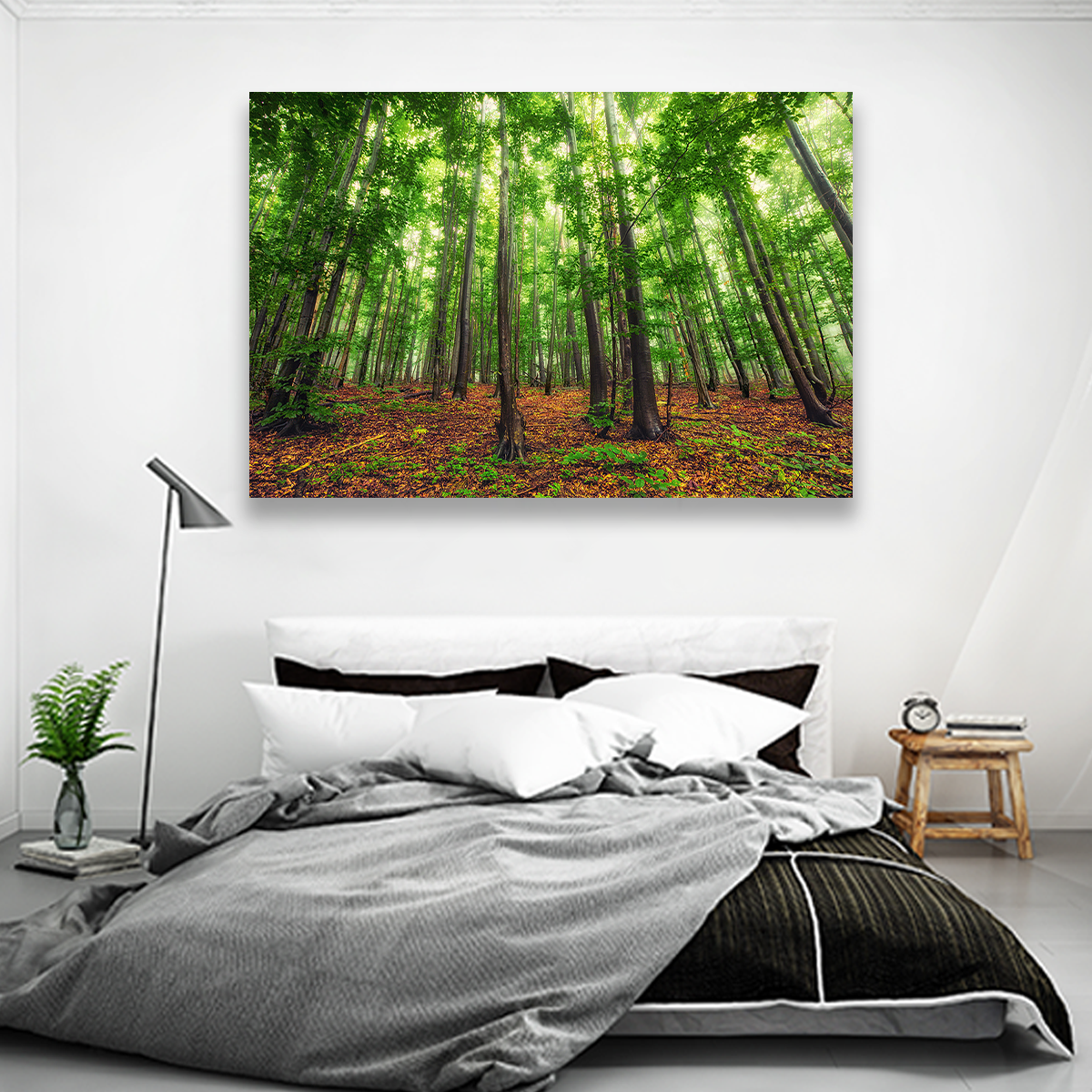 Bosque Bello