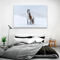 Caballo Bajo La Nieve