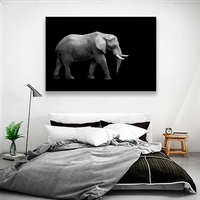Elefante En Fondo Negro
