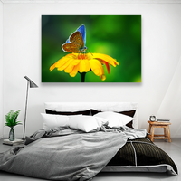Flores Y Mariposa Azulada