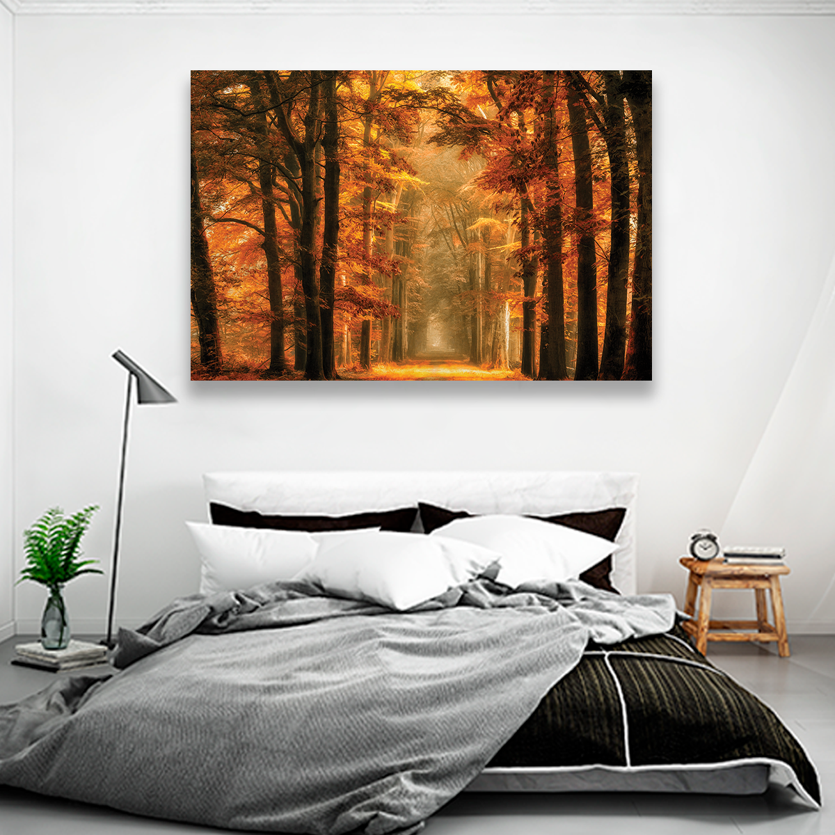 Bosque Sendero De Otoño
