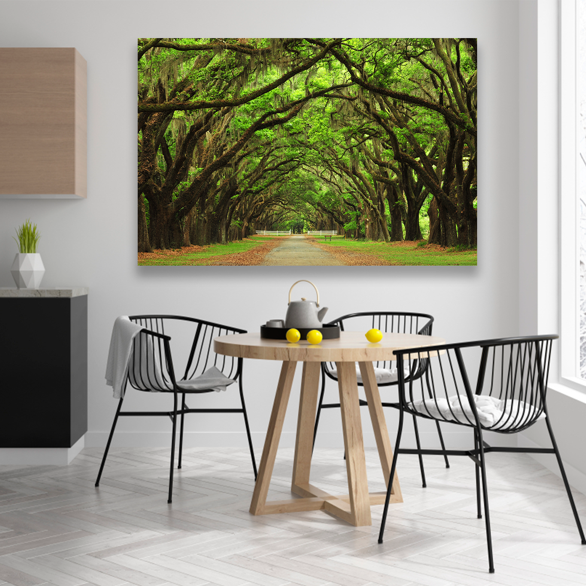 Bosque Antiguo Y Vereda