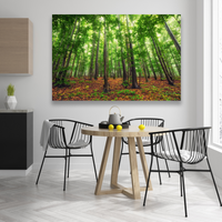 Bosque Bello