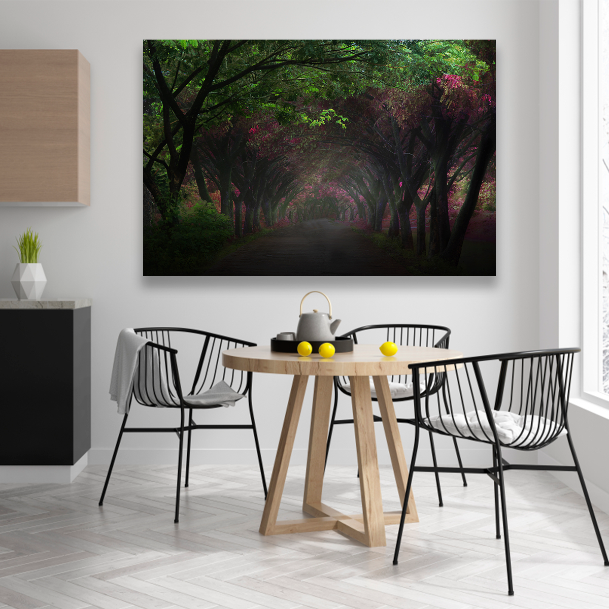 Bosque Con Camino Oscuro