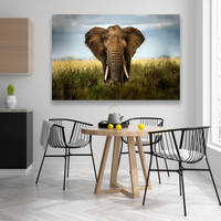 Elefante Entre Pastizal