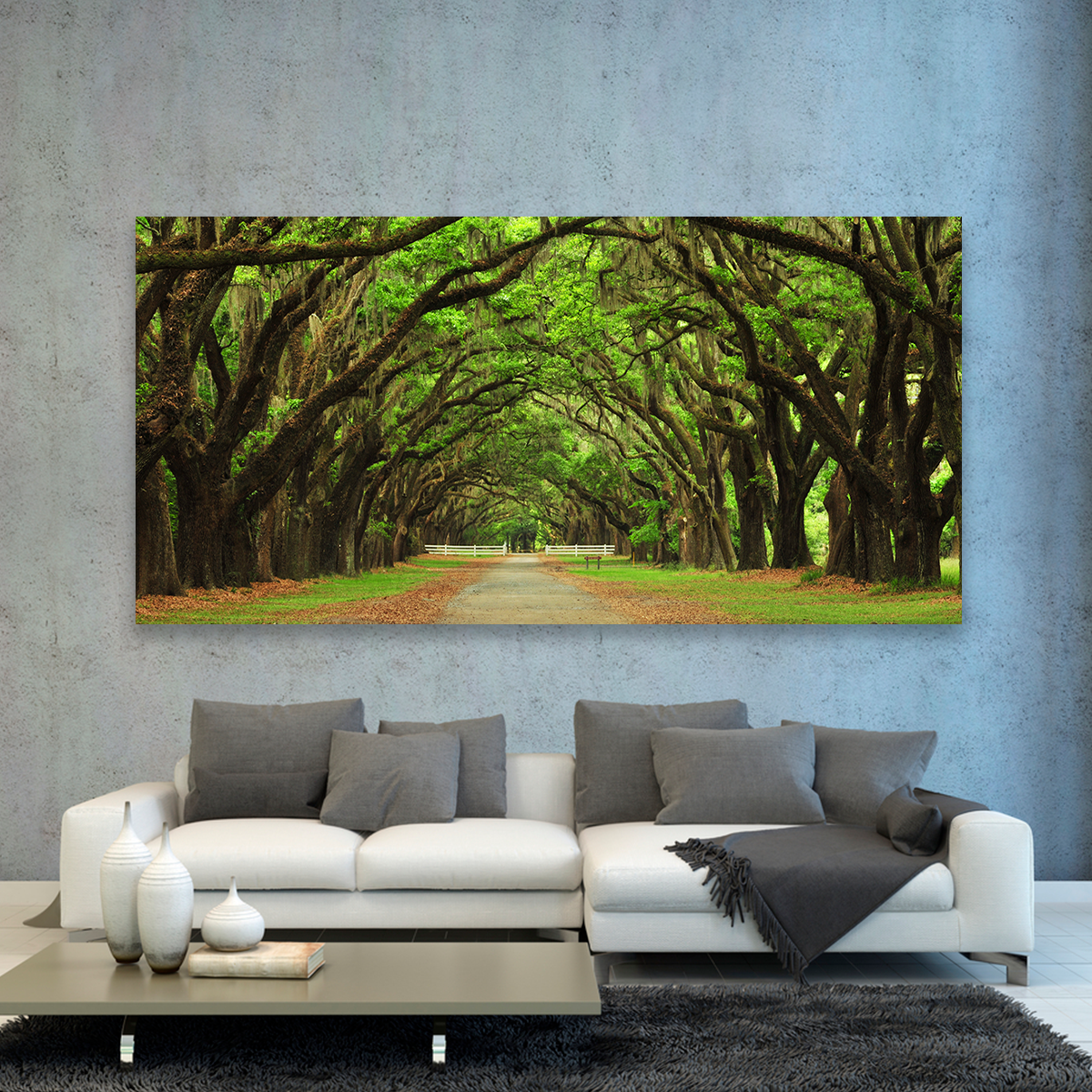 Bosque Antiguo Y Vereda
