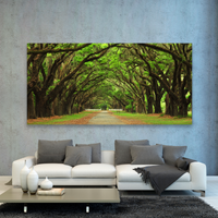 Bosque Antiguo Y Vereda