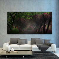 Bosque Con Camino Oscuro