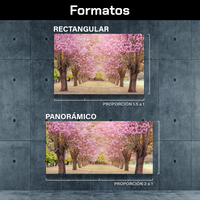 Bosque De Cerezos Rosas