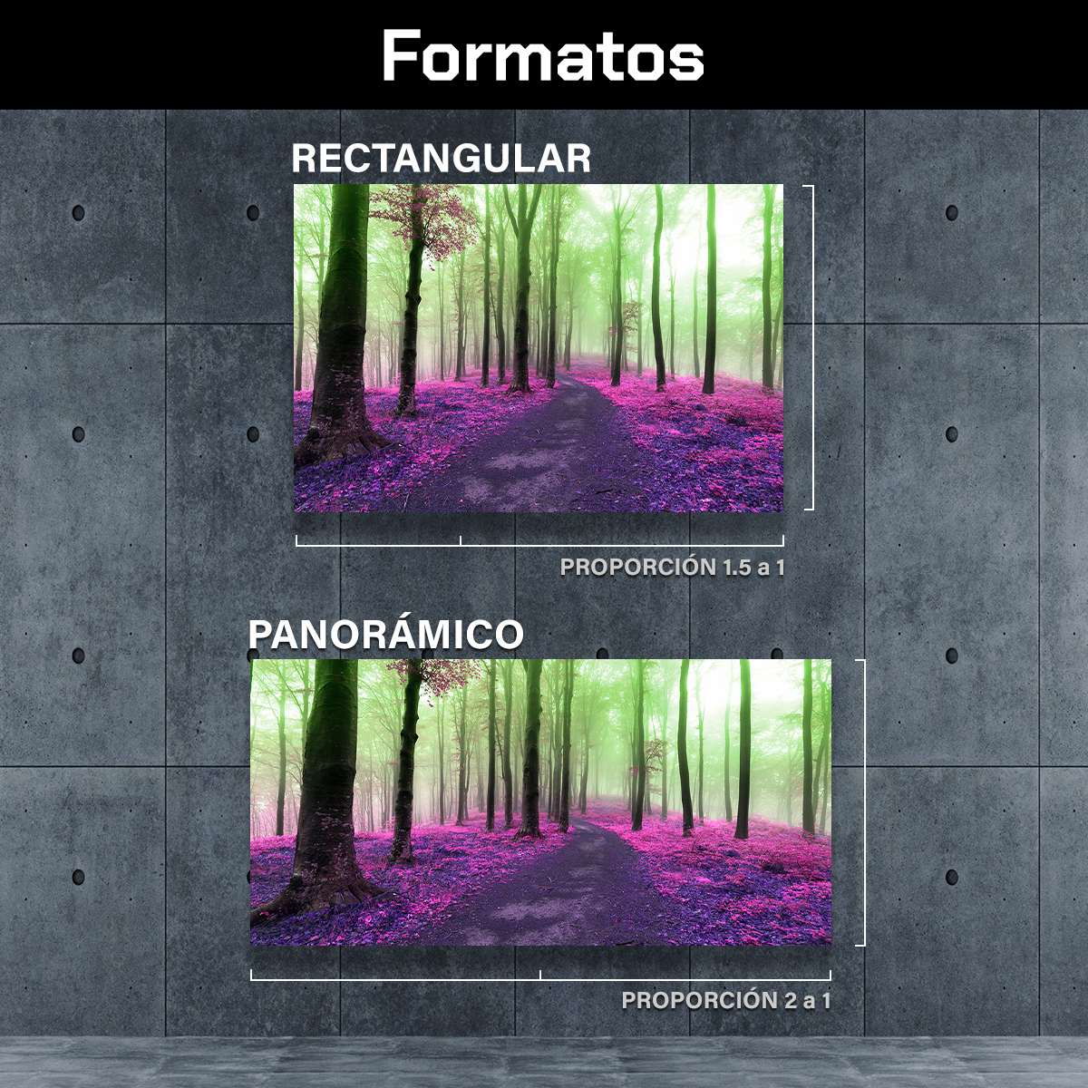Bosque En Morado