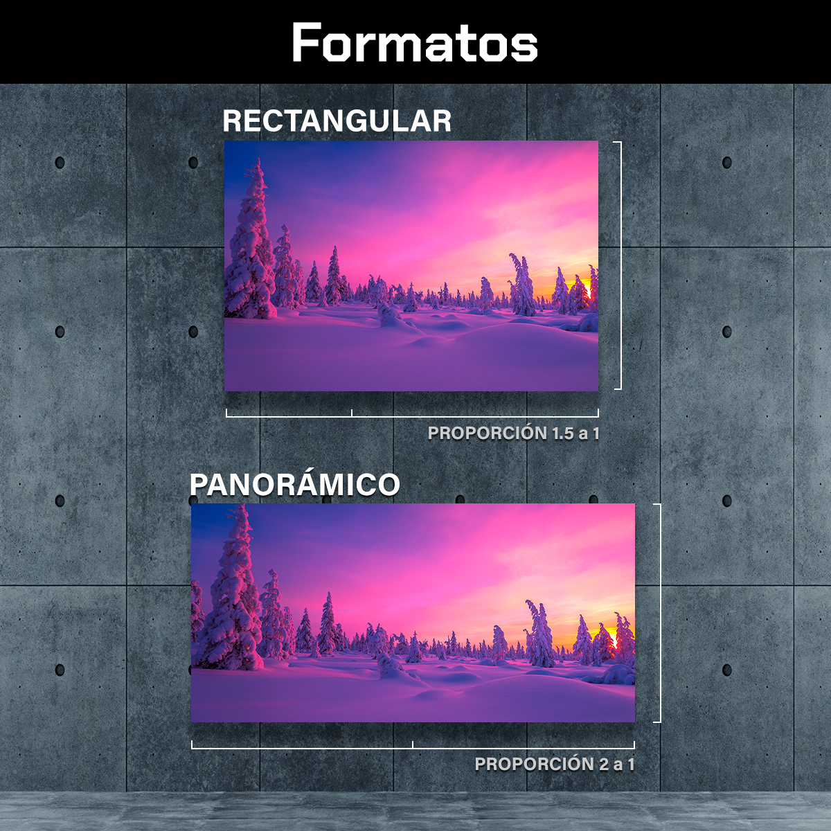 Invierno Vibrante