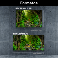 Bosque Tropical