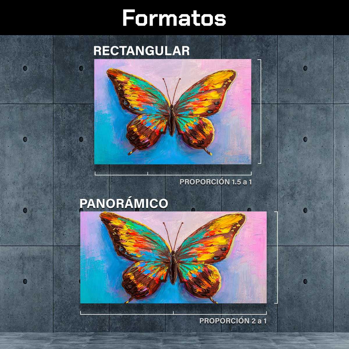 Mariposa De Colores